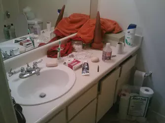 shitgnome.webp