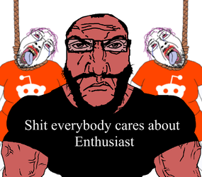 Shit everybody cares about Enthusiast (Snark subreddits).webp