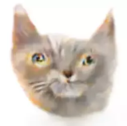 1750995590900.webp