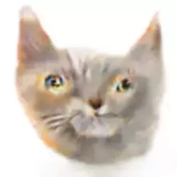 cats.webp
