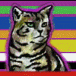 51096.gif