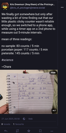 y (1).webp