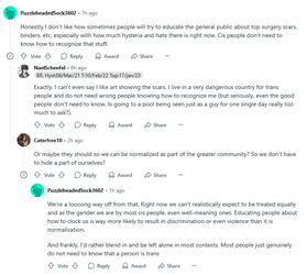 Screenshot 2025-06-27 at 11-39-45 Why do so many cis people know what top surgery scars are r...webp