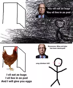 chicken.webp