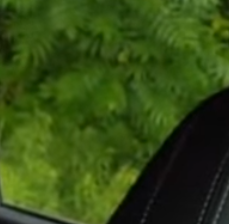 Screenshot 2025-06-27 165557.webp