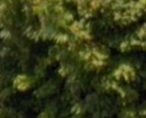 Screenshot 2025-06-27 165612.webp