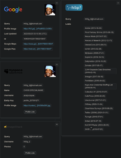 Screenshot 2025-06-26 at 16-39-52 OSINT Reverse Email Lookup.webp