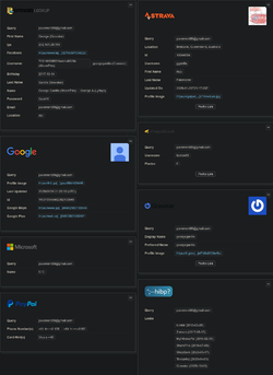Screenshot 2025-06-26 at 16-47-42 OSINT Reverse Email Lookup.webp