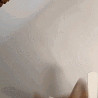 52548.gif