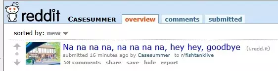 casesummer.webp