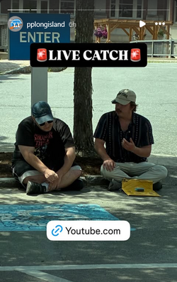 Screenshot 2025-06-27.webp