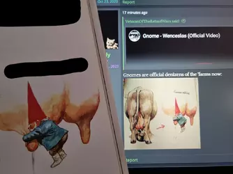 gnomez.webp