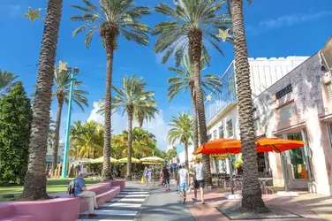 miami_street.webp