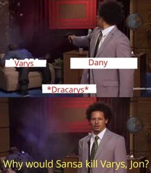 sansa.jpg