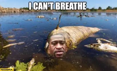 odra-ryba-george-floyd-i-cant-breathe.webp