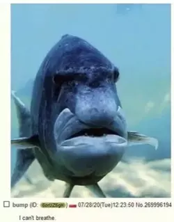 lalrp5qh4k471.webp
