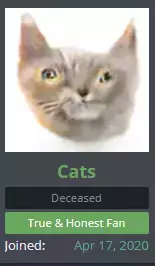 cats we love you.webp