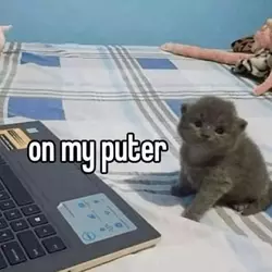 1751243775641.webp