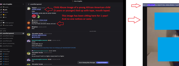wtf.webp