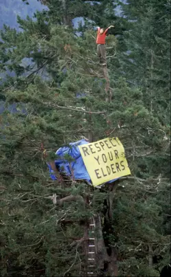 tree05.webp tree05.webp