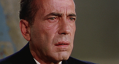 tumblr_604b746b44eb78640e421282195434fe_708f53c9_540.gif