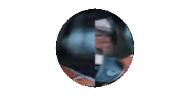 IMG_1259.gif