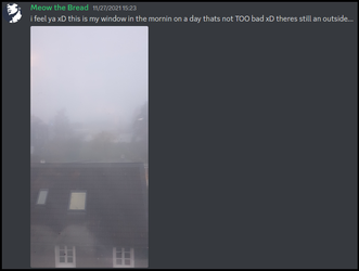 06. One window.webp