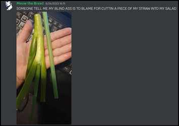 10. Straw salad.webp