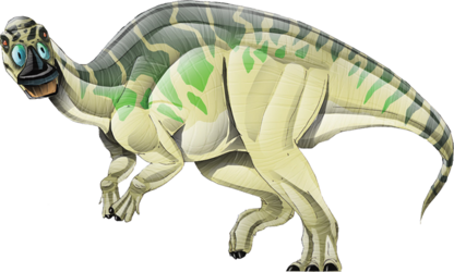 1000016242.webp