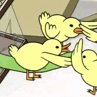200317.gif