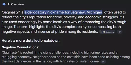 saginasty.webp