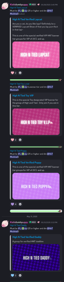 KnS_Kishi_Discord3.webp