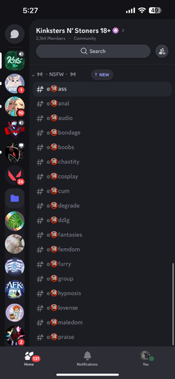 KnS_Kishi_Discord2.webp