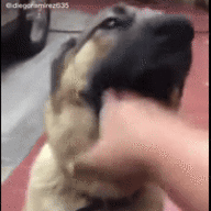 herefortheactualthreads.gif