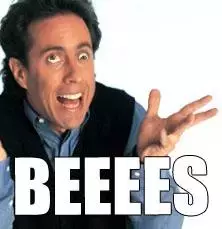 seinfeld_beees.webp