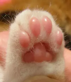 5765y-jb3.webp