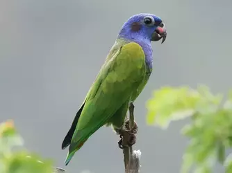 1751462645840.webp