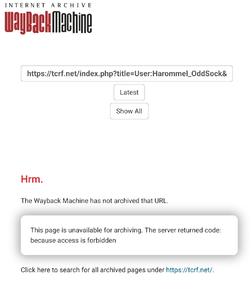 Screenshot_20250702_132831_Firefox.webp