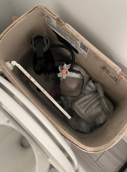 damiel baby in toilet.webp
