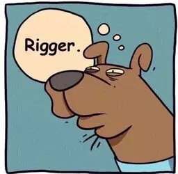 rigger.webp