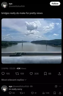 1751515742312365m.webp