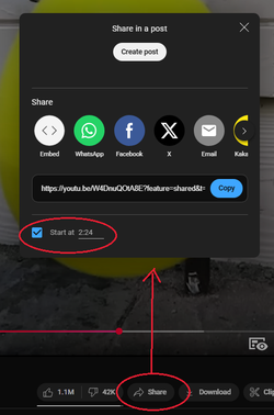 YouTube Timestamp Share.webp