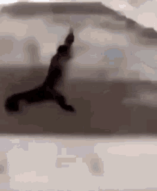 1632947869831.gif