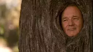 billtree.webp