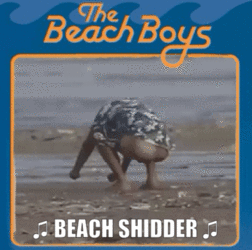 Classic Beach Boys.gif