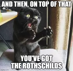 jew truther cat.webp
