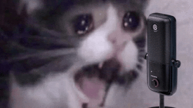 1750813891041.gif
