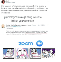 trannies seething when they see their own reflection.webp