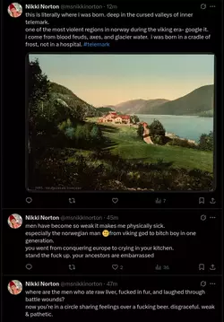 1751651599952.webp