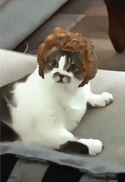 1750965063329808.gif